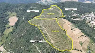 SAMSUN'UN EN DEĞERLİ TARIMSAL YATIRIMLARINDAN BİRİ SATIŞTA!