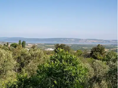 ÇANAKKALE LAPSEKİ UMURBEY'DE DENİZ MANZARALI SATILIK TARLA