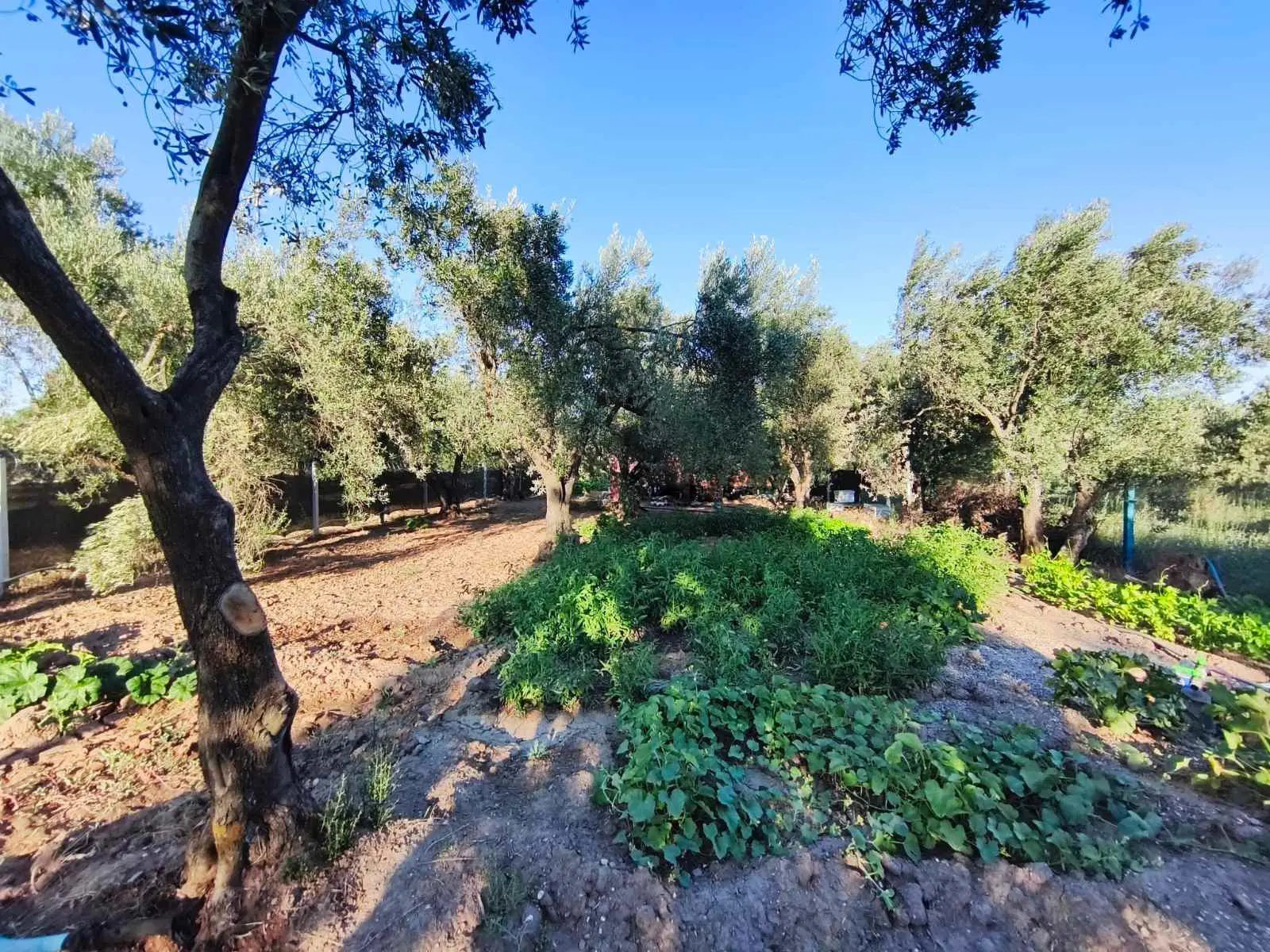 Property image 24