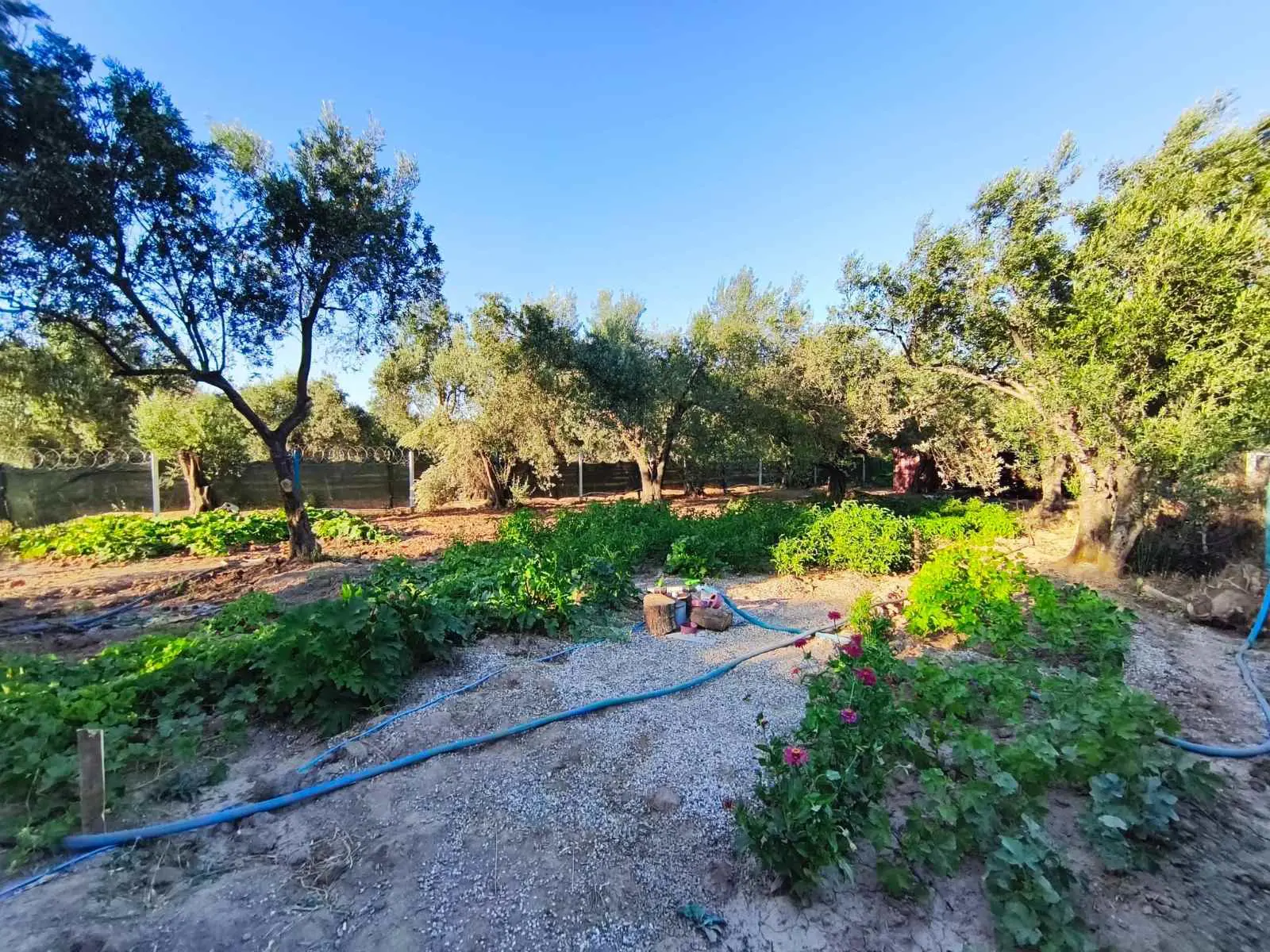 Property image 16