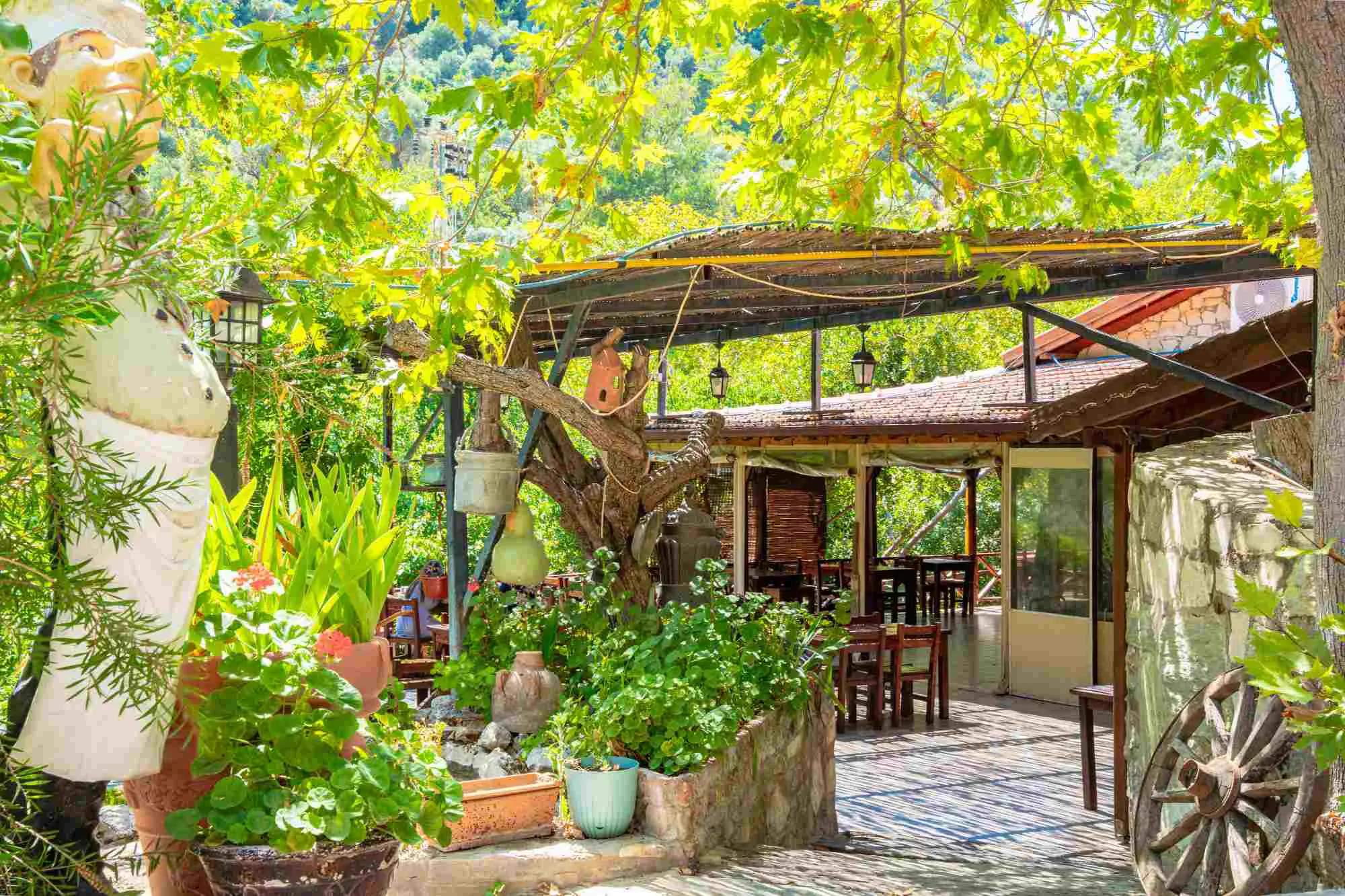 Property image 41