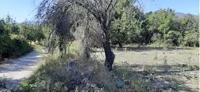 SULTANDAĞI YEŞİLÇİFTLİK'TE 483M2 YOLA CEPHE SATILIK FIRSAT ARSA