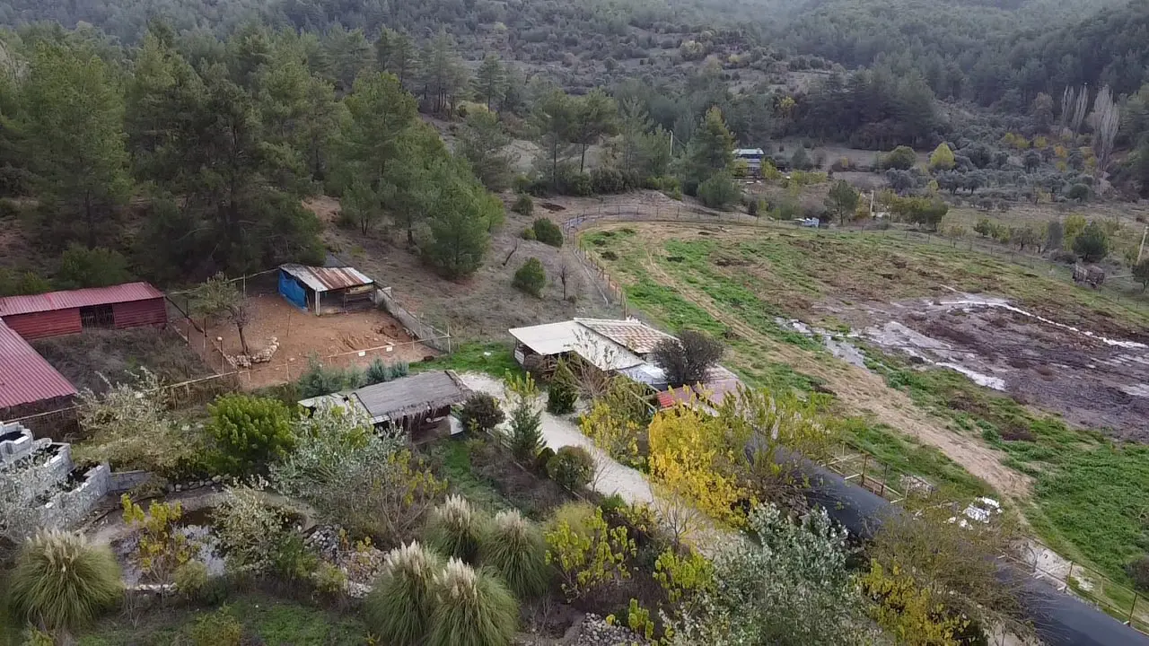 Property image 16