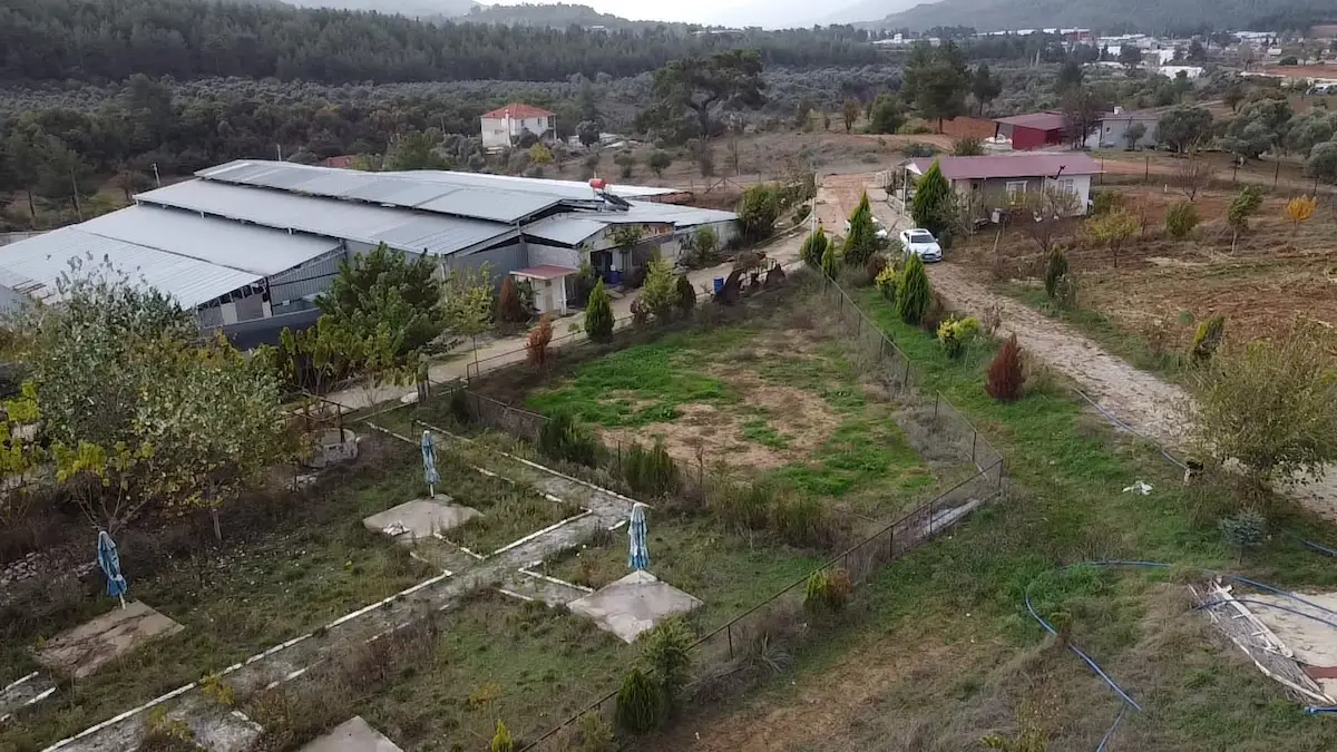 MUĞLA MENTEŞEDE 28.000 M² ÜZERİNDE HAZIR KİRALIK ÇİFTLİK