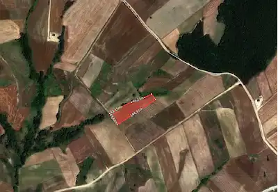 DERİNCE KAŞIKÇI SATILIK 4931 M² YOLA CEPHE TARLA
