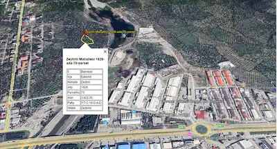 EDREMİT ZEYTİNLİ'DE İMARA YAKIN 3822 M2 ZEYTİNLİK