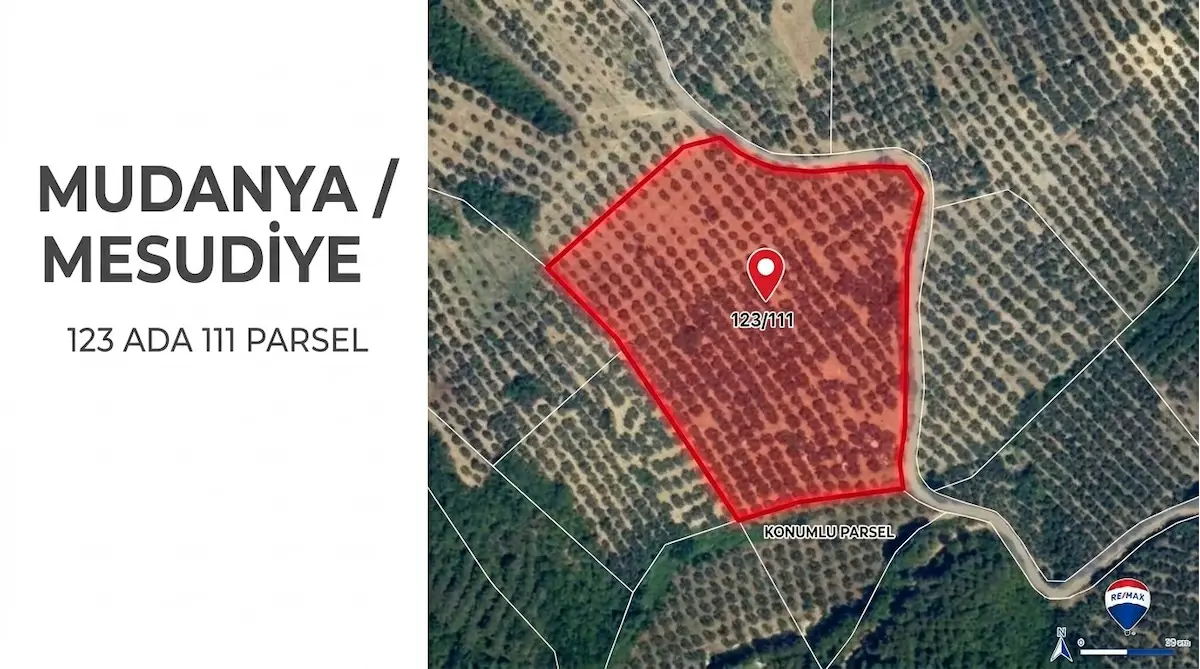 REMAX AREA DAN MESUDIYE YOLA CEPHE 16591 M2 VERIMLI ZEYTINLIK