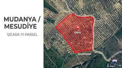 REMAX AREA DAN MESUDIYE YOLA CEPHE 16591 M2 VERIMLI ZEYTINLIK