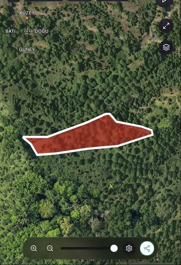 TİRE YAMANDERE’DE SATILIK TEK TAPU  5461 M² CEVİZ BAHÇESİ