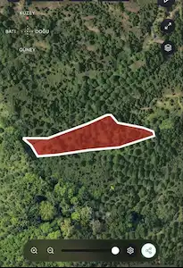 TİRE YAMANDERE’DE SATILIK TEK TAPU  5461 M² CEVİZ BAHÇESİ