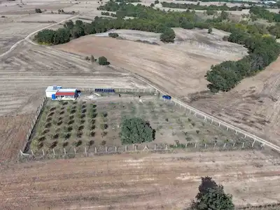 KIRKLARELİ LÜLEBURGAZ CELALİYE KÖYÜ SATILIK TARLA ARAZİSİ