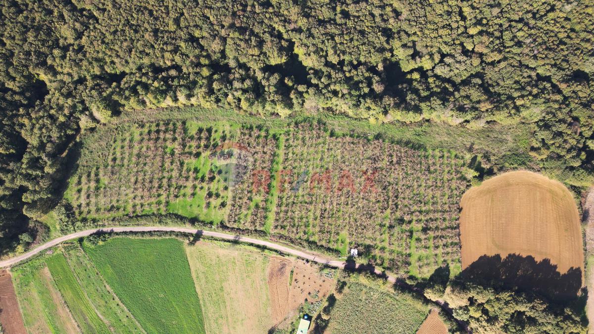 Kocaeli, İzmit, Hasancıklarda Eşsiz Yatırım Fırsatı