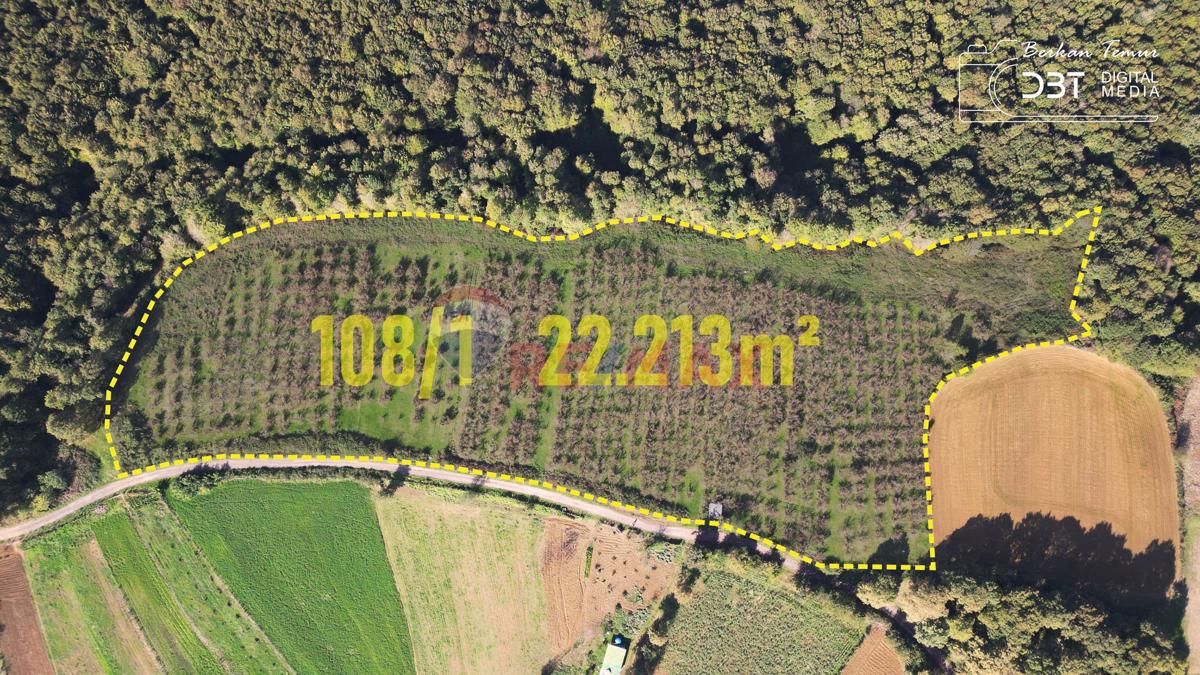 Kocaeli, İzmit, Hasancıklarda Eşsiz Yatırım Fırsatı