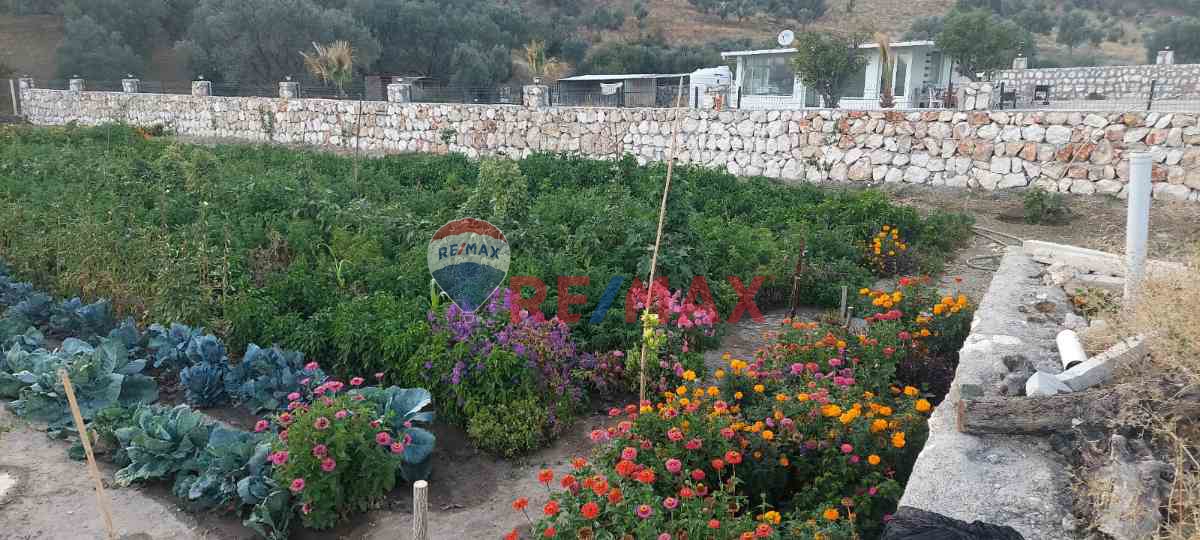 BUCA KAYNAKLAR ÇINAR AĞACINA 4 DK. ELK. SU MEVCUT MİRAS BÖLMESİ