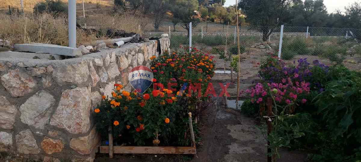 BUCA KAYNAKLAR ÇINAR AĞACINA 4 DK. ELK. SU MEVCUT MİRAS BÖLMESİ