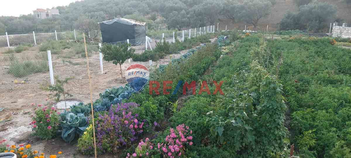 BUCA KAYNAKLAR ÇINAR AĞACINA 4 DK. ELK. SU MEVCUT MİRAS BÖLMESİ