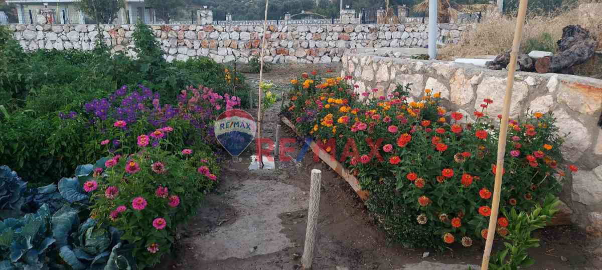 BUCA KAYNAKLAR ÇINAR AĞACINA 4 DK. ELK. SU MEVCUT MİRAS BÖLMESİ