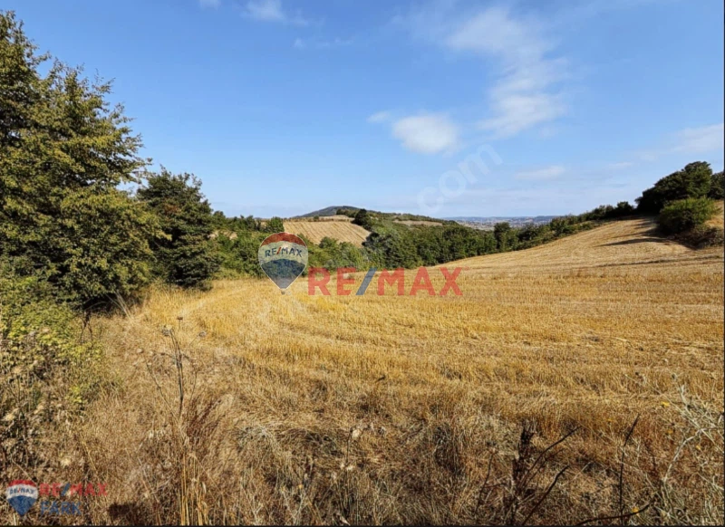 KÖRFEZ ALİHOCALAR'DA 8300 M2 FIRSAT ARAZİ