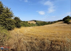 KÖRFEZ ALİHOCALAR'DA 8300 M2 FIRSAT ARAZİ