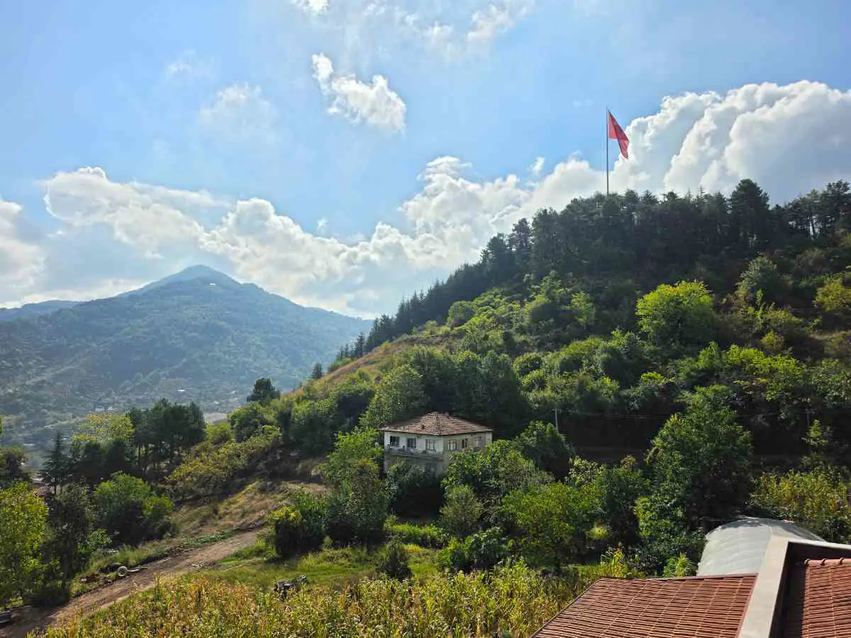 Property image 21