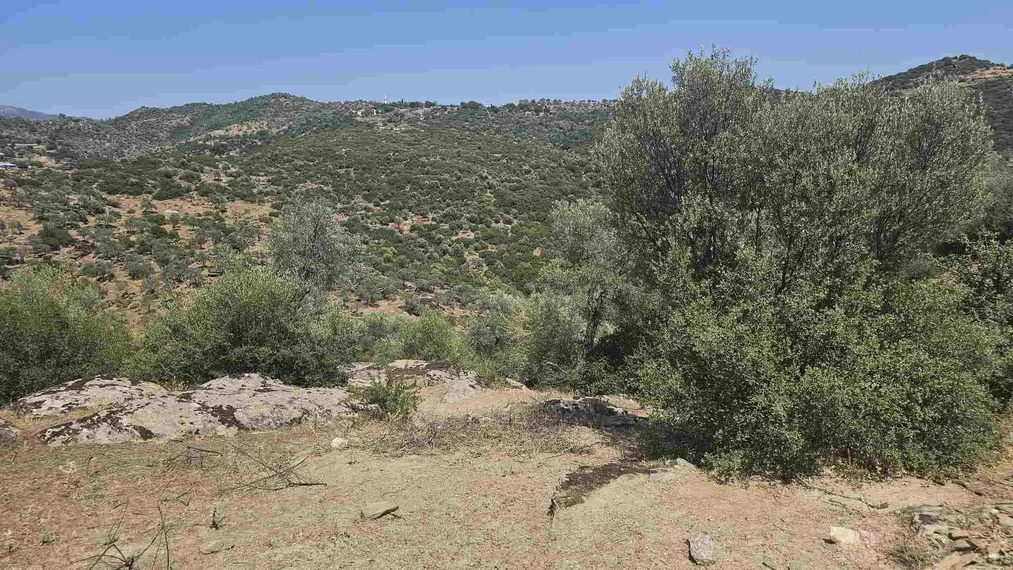 Property image 27