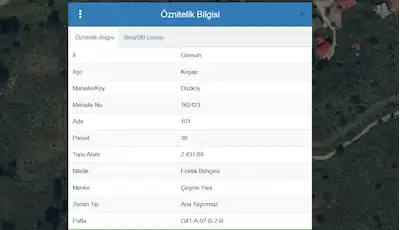 GİRESUN KEŞAP DÜZKÖY’DE DENİZ MANZARALI SATILIK FINDIK BAHÇESİ