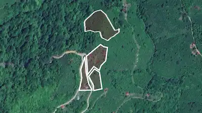 YOKUŞDİBİ/KABADÜZ’DE 14.931 M² FİNDIK BAHÇESİ – BAĞ EVİ VE YATIRIM FIRSATI