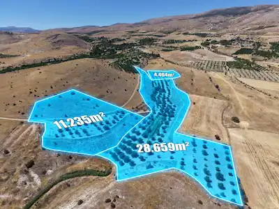 HAVAALANINA 3 KM MESAFEDE SATILIK 33 DÖNÜM KAYISI BAHÇESİ