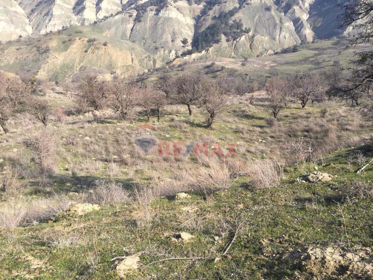 BABADAĞ GAZİ MAHALLESİ 24569m2 FIRSAT TARLA