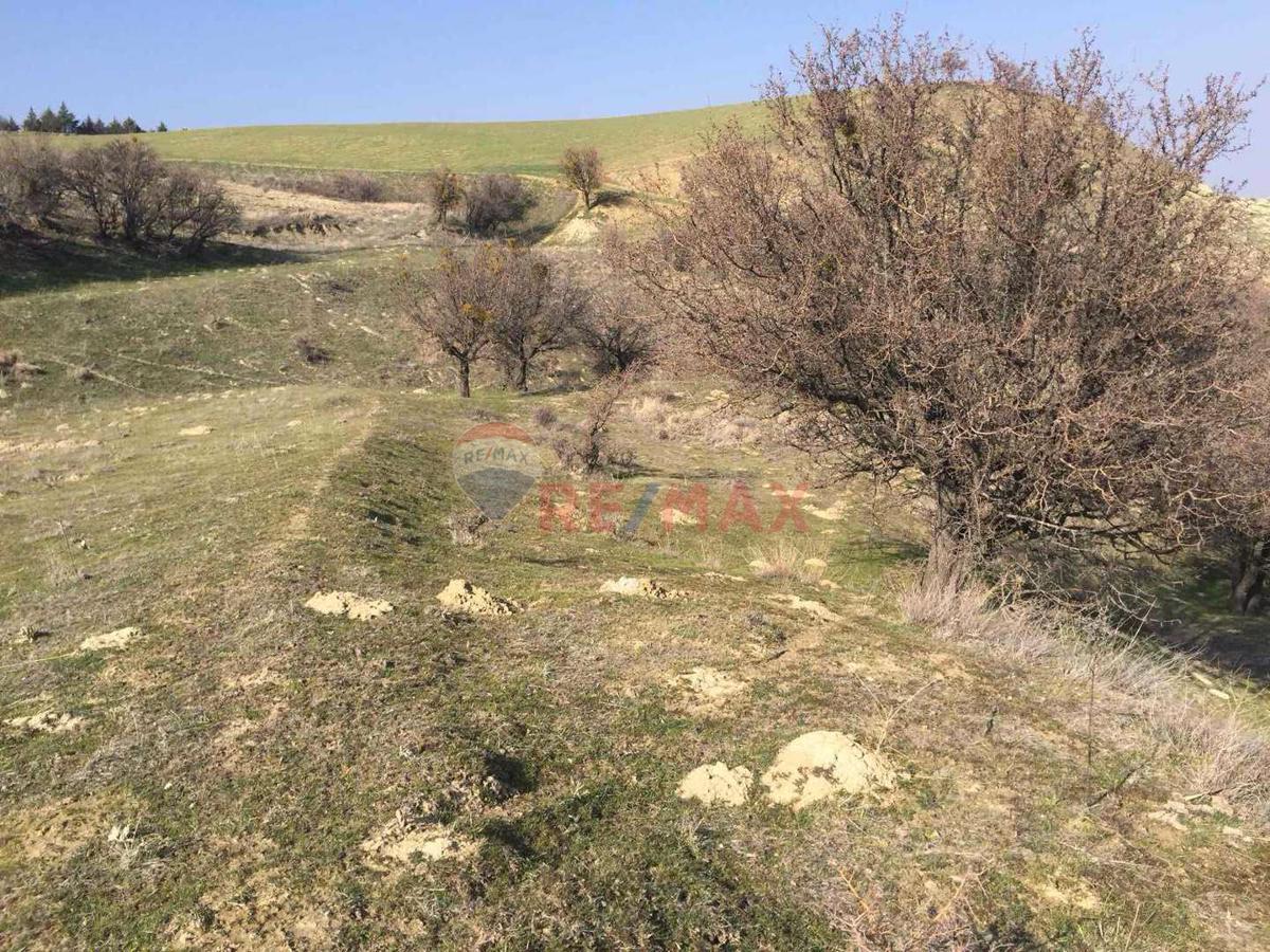 BABADAĞ GAZİ MAHALLESİ 24569m2 FIRSAT TARLA