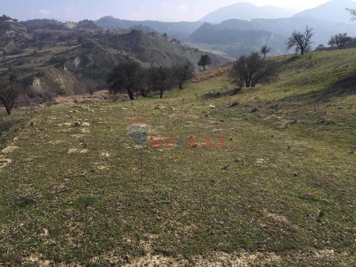 BABADAĞ GAZİ MAHALLESİ 24569m2 FIRSAT TARLA