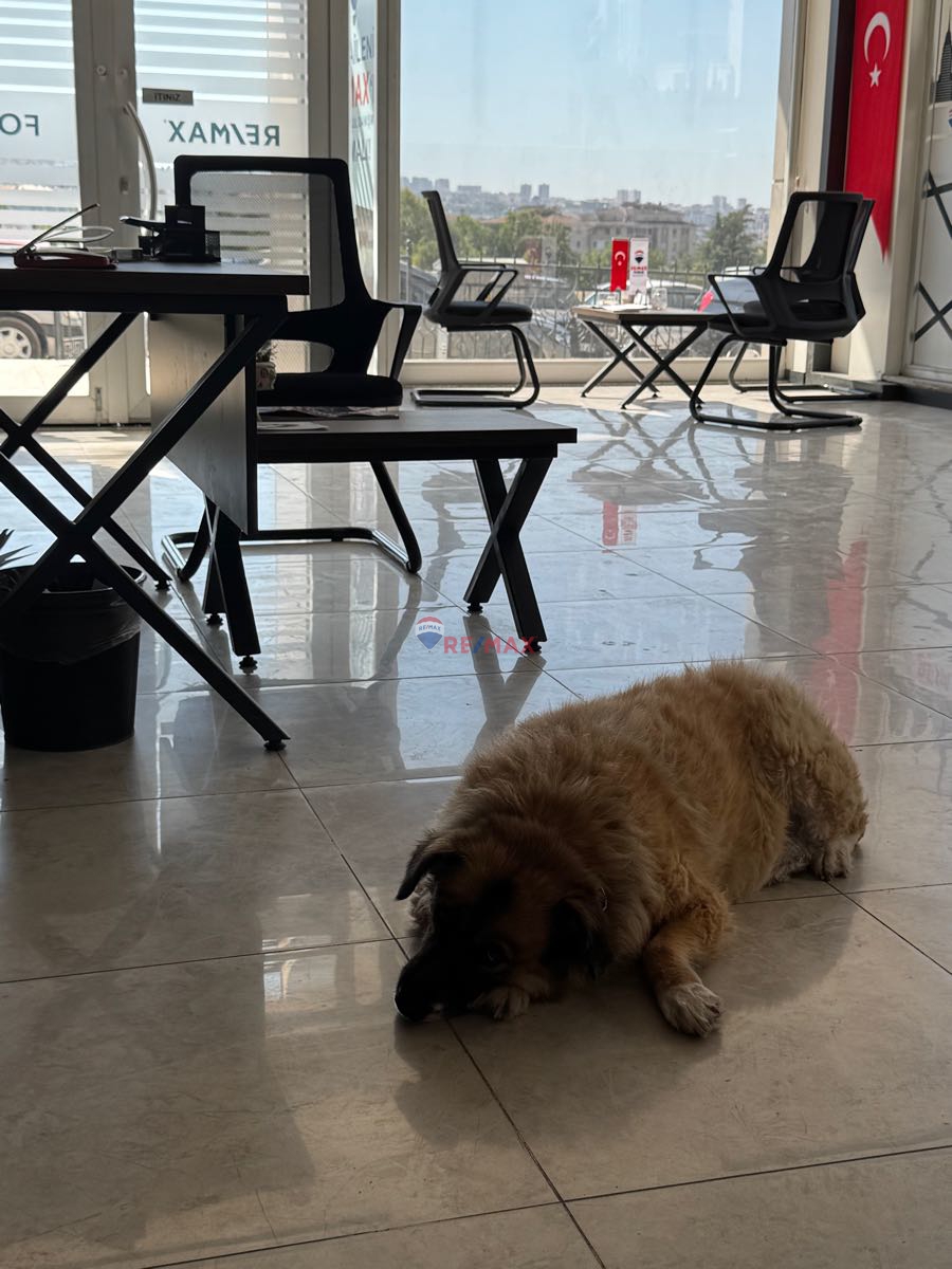 DENİZLİ DELİKTAŞ'TA KÖŞE BAŞI FIRSAT SATILIK DAİRE