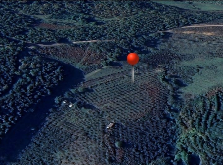 ŞILE ÇATAKLI MAH. MÜKEMMEL KONUMDA SATILIK FINDIKLIK