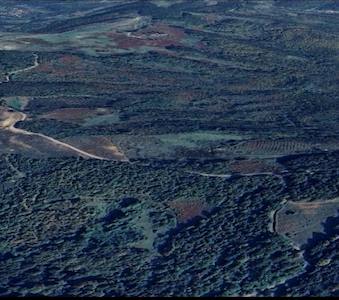 ŞILE ÇATAKLI MAH. MÜKEMMEL KONUMDA SATILIK FINDIKLIK