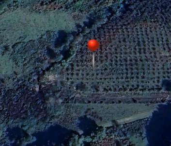 ŞILE ÇATAKLI MAH. MÜKEMMEL KONUMDA SATILIK FINDIKLIK