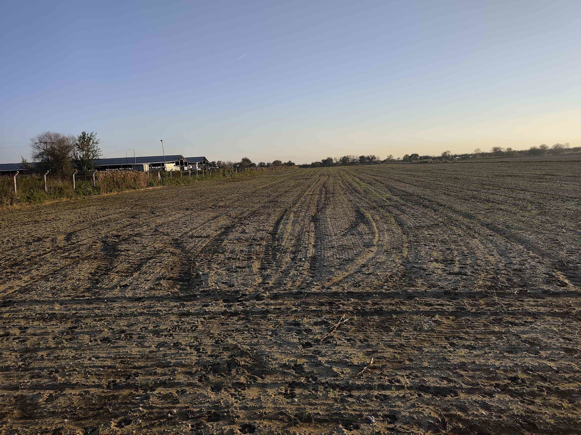 MENEMEN BURUNCUK SATILIK 8.000 M2 FIRSAT TARLA