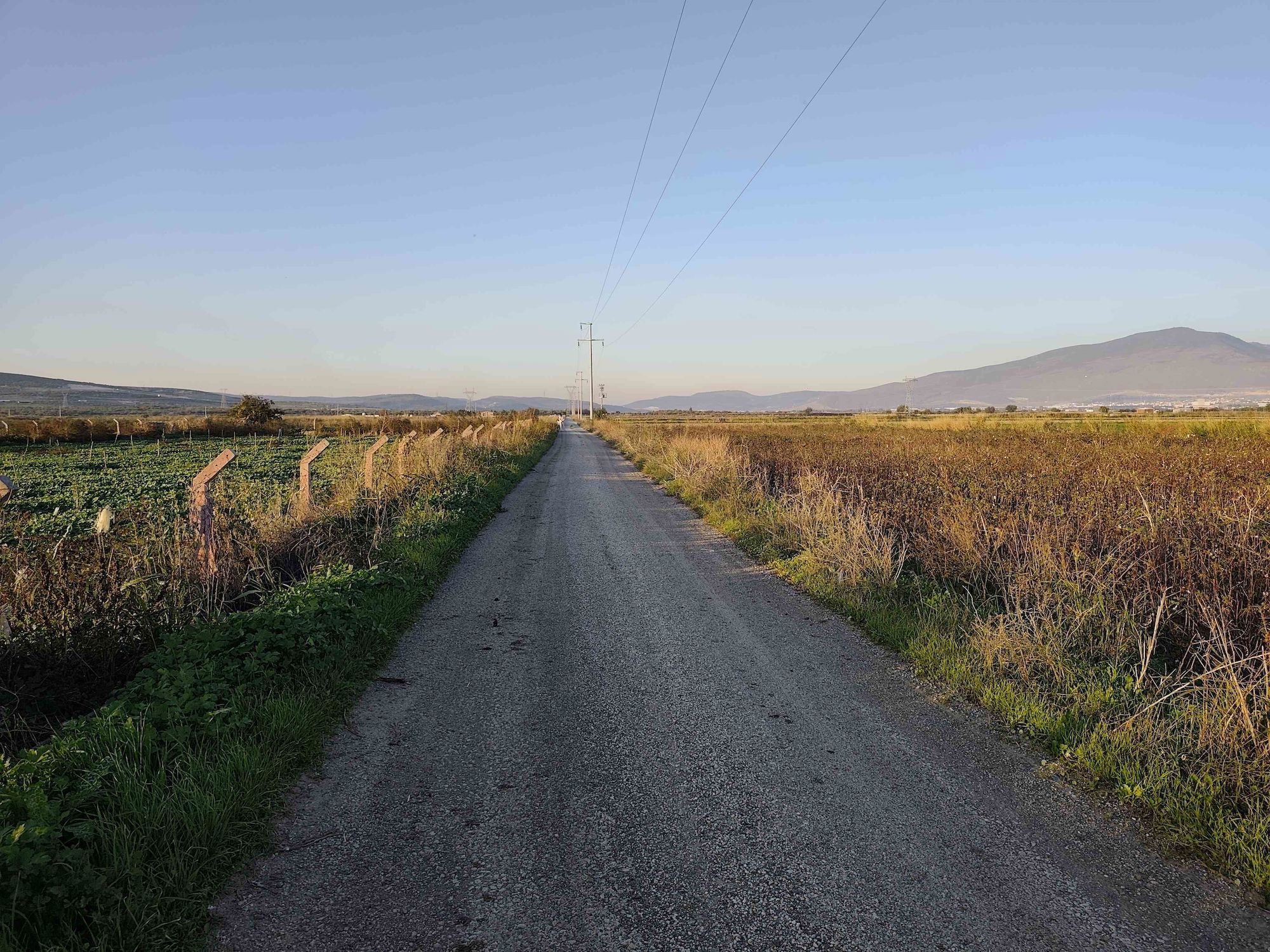 MENEMEN BURUNCUK SATILIK 8.000 M2 FIRSAT TARLA