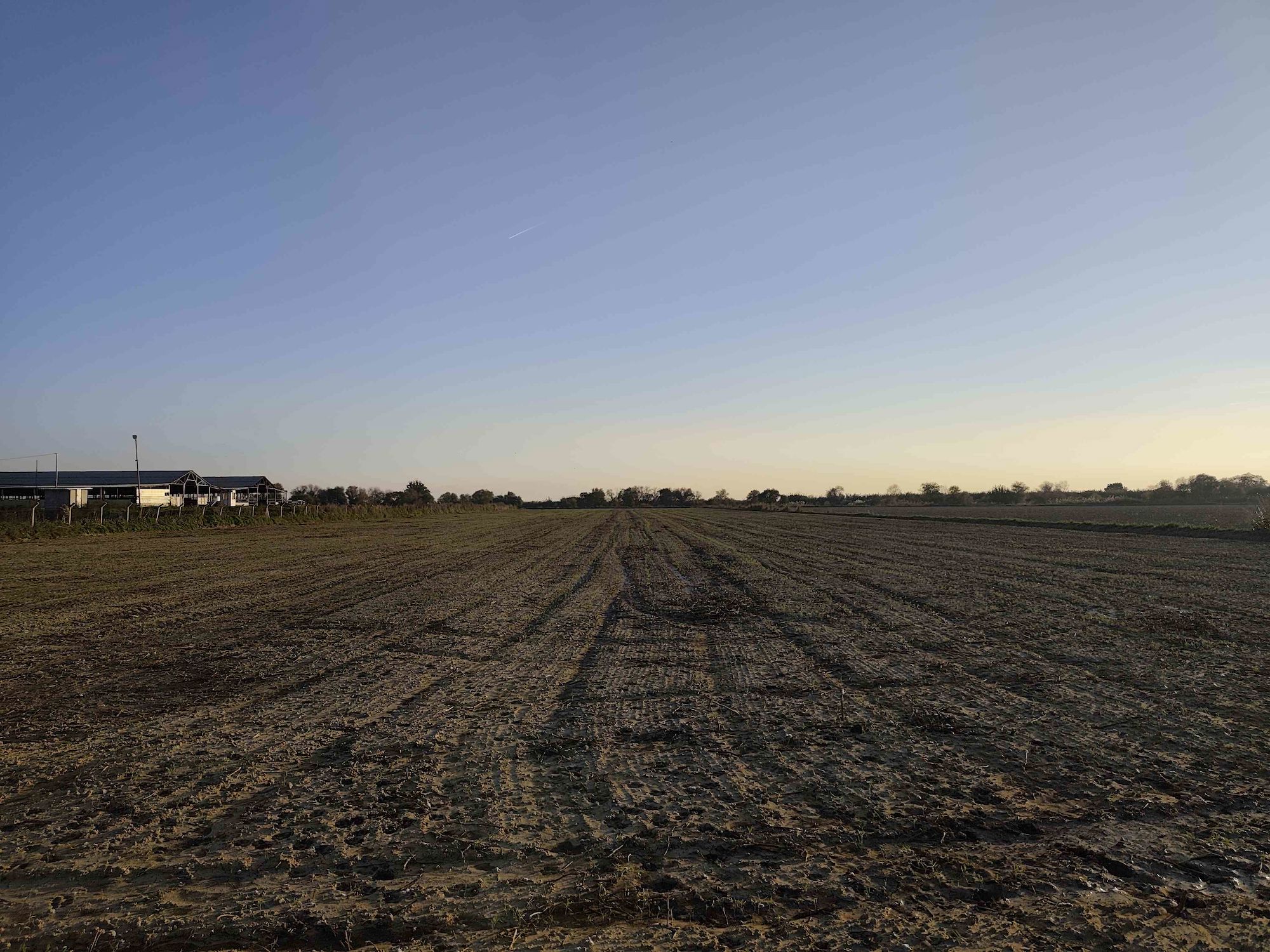 MENEMEN BURUNCUK SATILIK 8.000 M2 FIRSAT TARLA