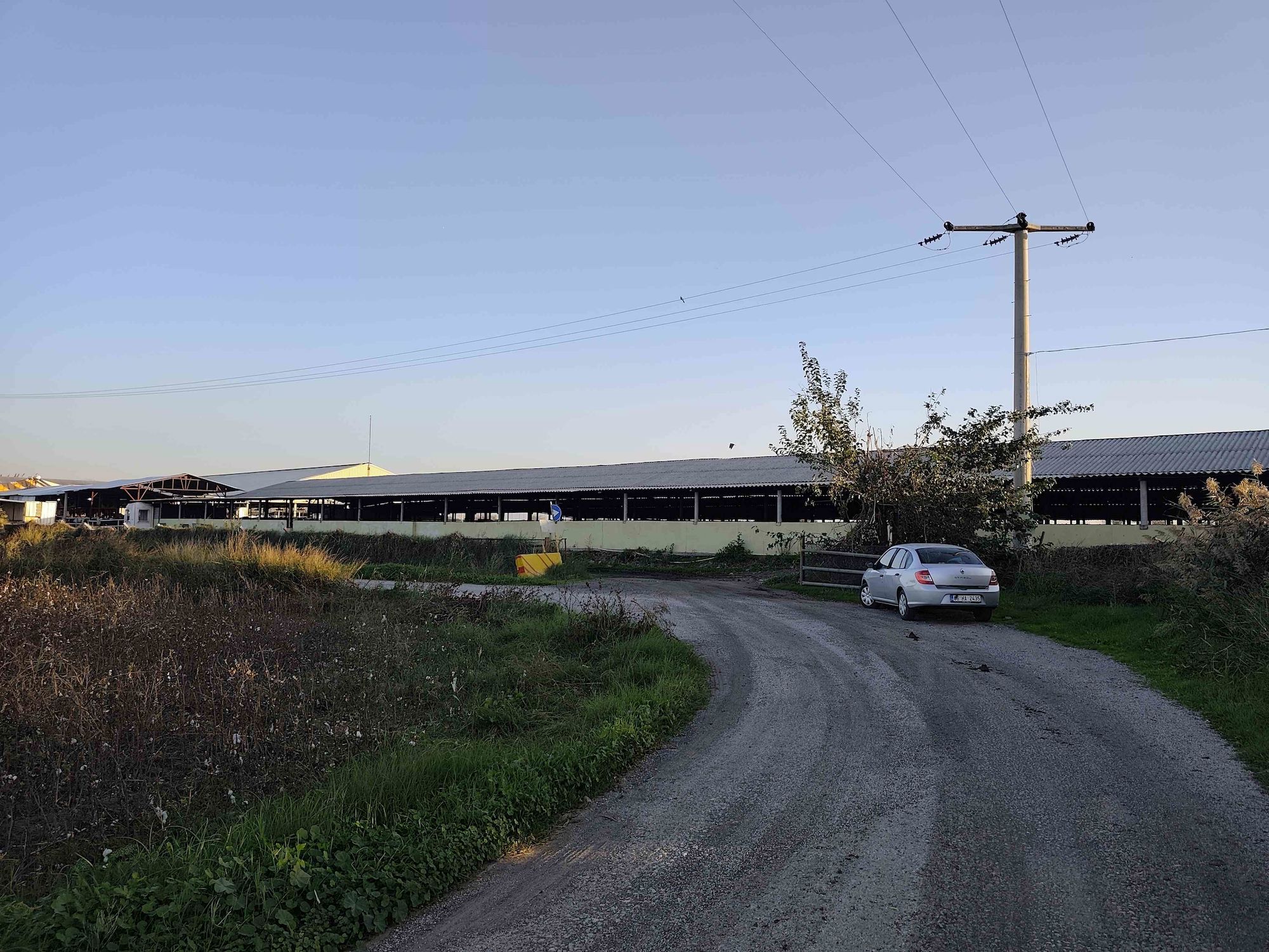 MENEMEN BURUNCUK SATILIK 8.000 M2 FIRSAT TARLA