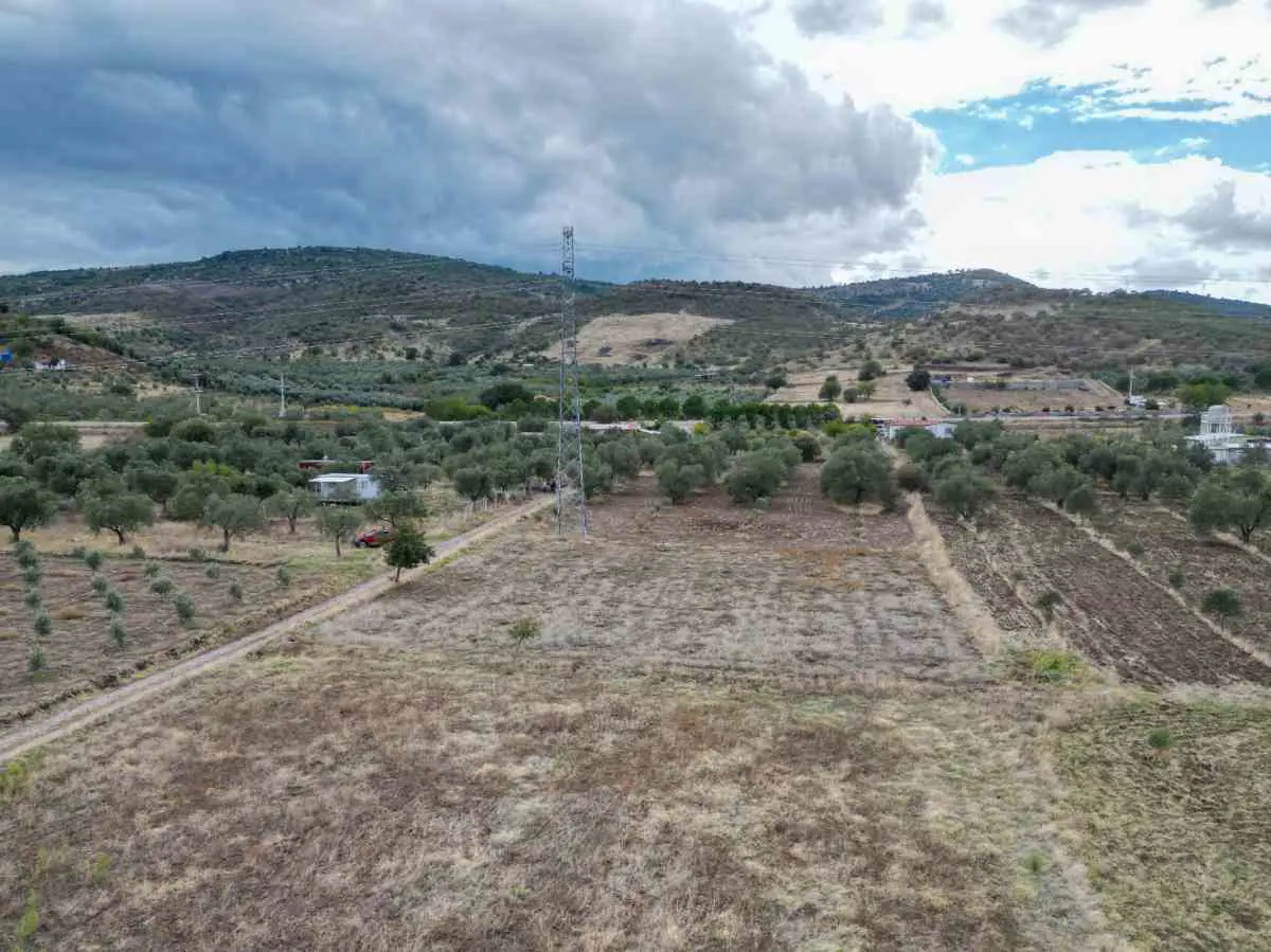 Property image 16