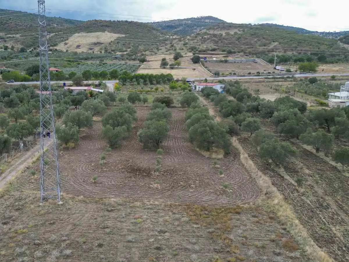 Property image 11