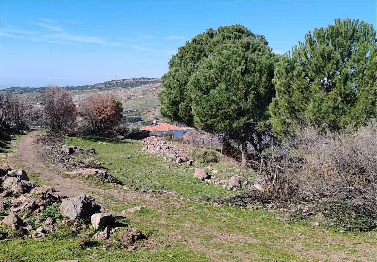 ODABURNU KÖY IÇI YERLEŞIME YAKIN SATILIK HAM TOPRAK NITELIĞINDE ARSA