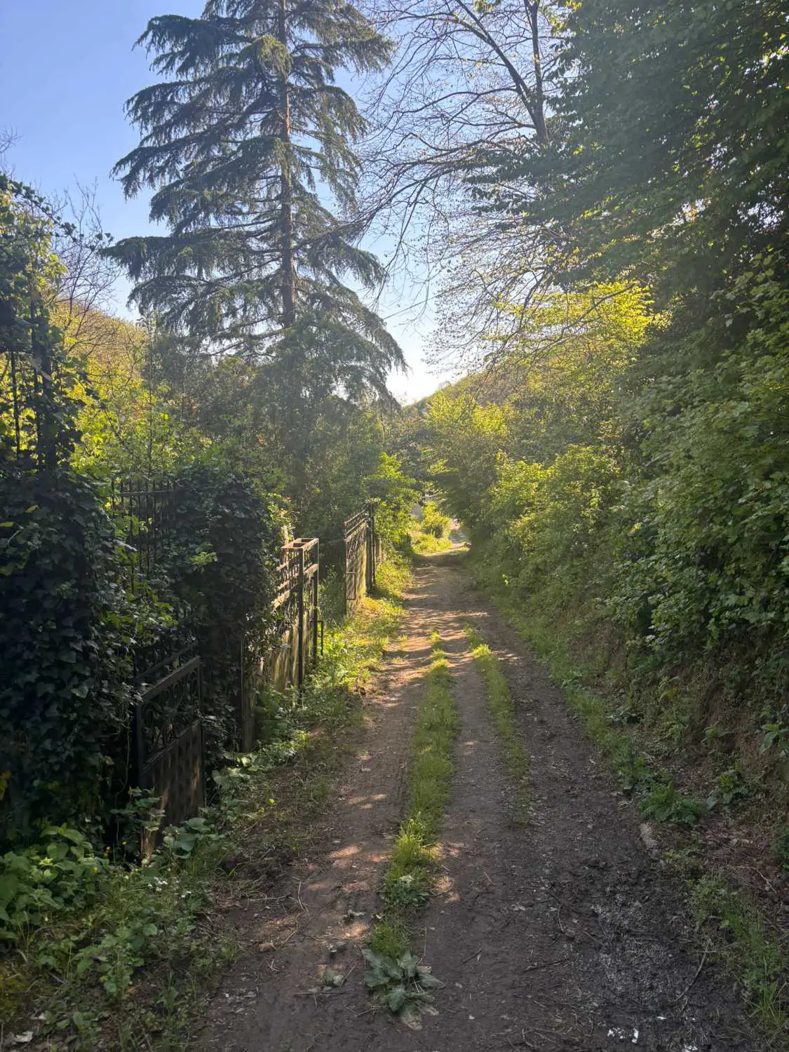 Property image 22