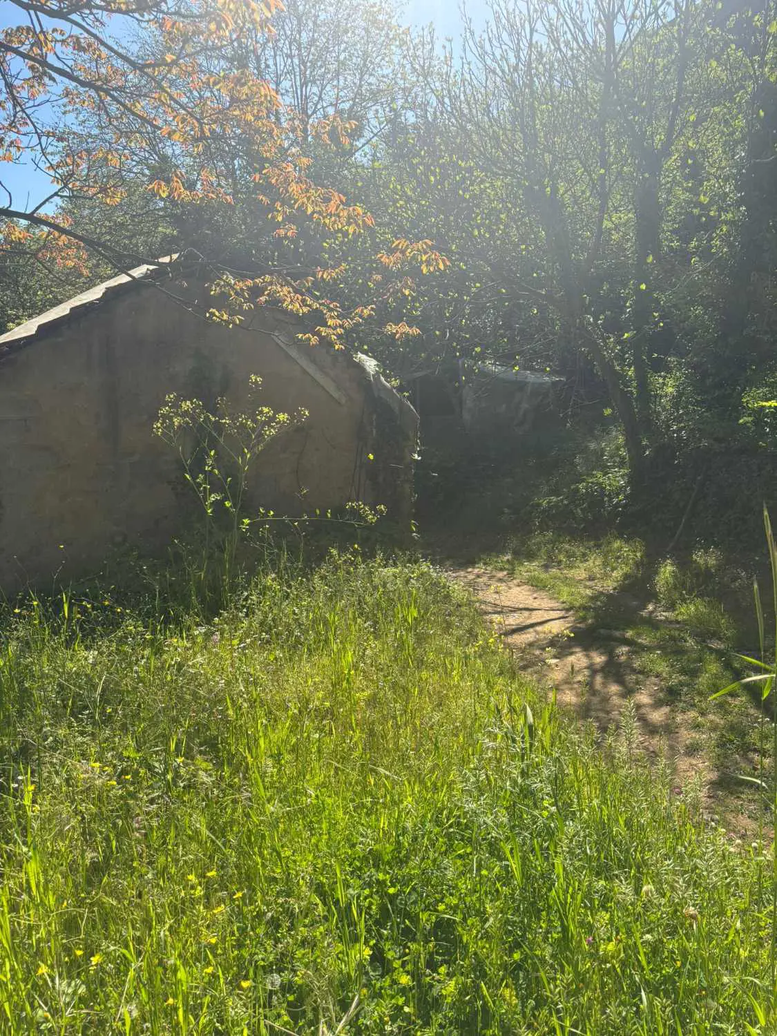 Property image 28