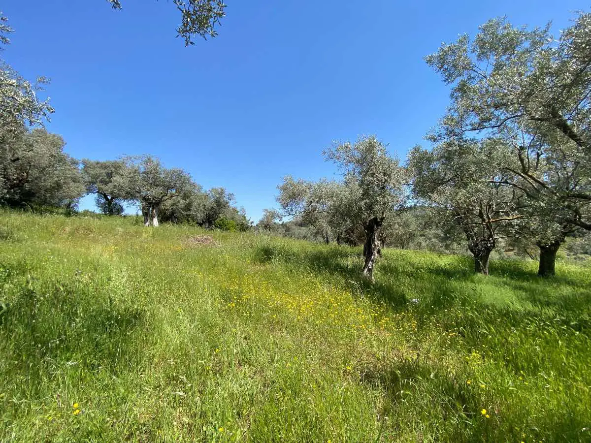 Property image 30