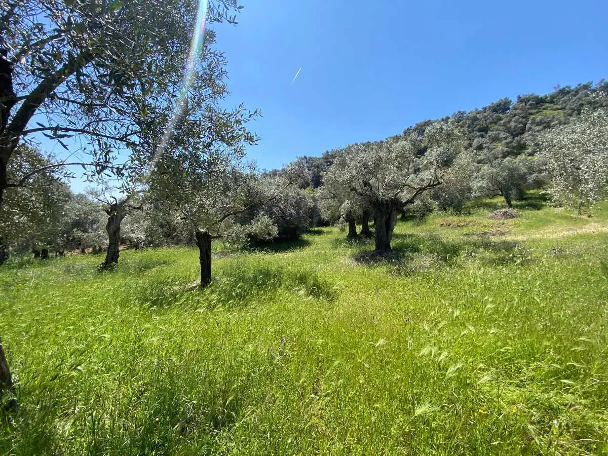 Property image 25