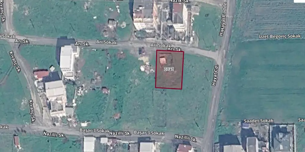 Property image 6