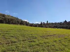 DİDİM AKKÖY'DE SATILIK 25.888 M2 TARLA!!