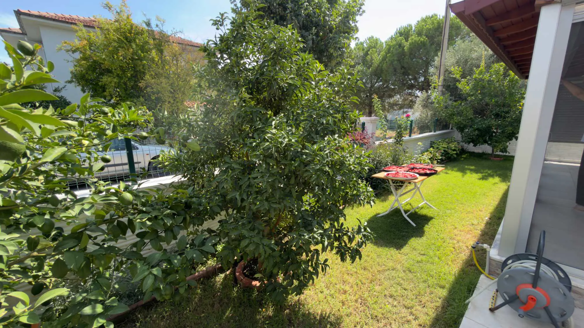 Property image 8