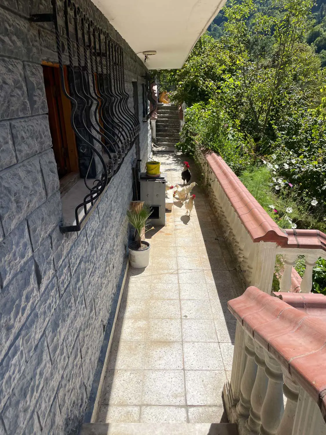 Property image 74